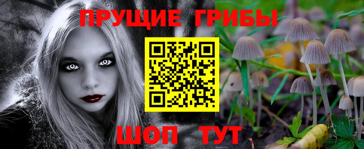 Галлюциногенные грибы GOLDEN TEACHER Наро-Фоминск