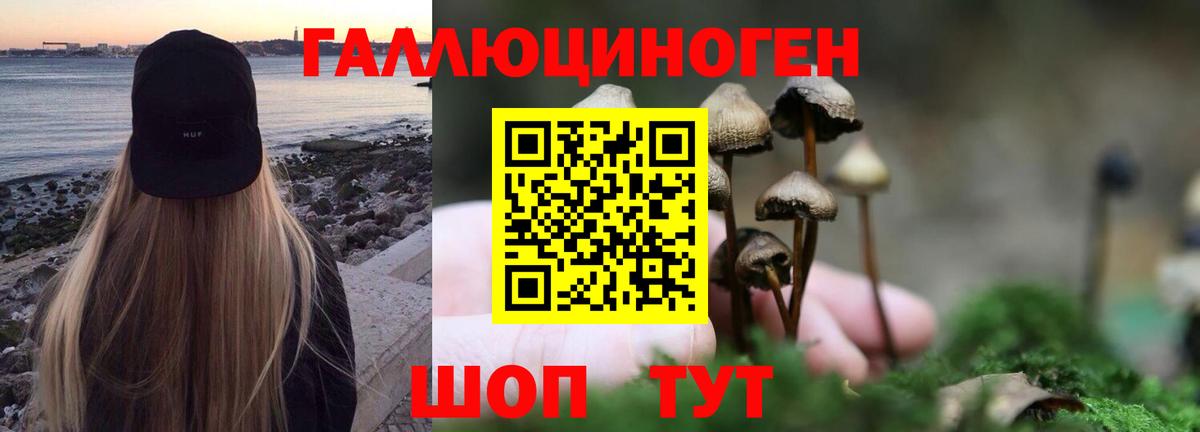 Псилоцибиновые грибы GOLDEN TEACHER  Вход с VPN  Наро-Фоминск 